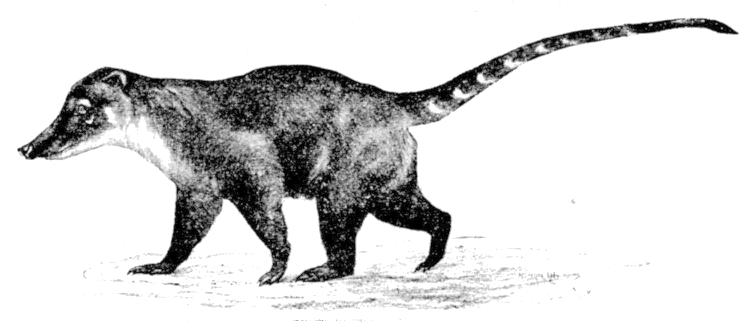 Fig. 217.