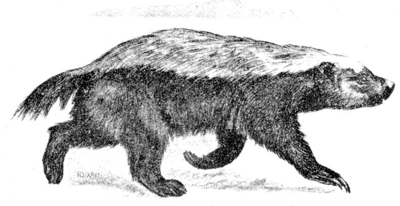 Fig. 222.