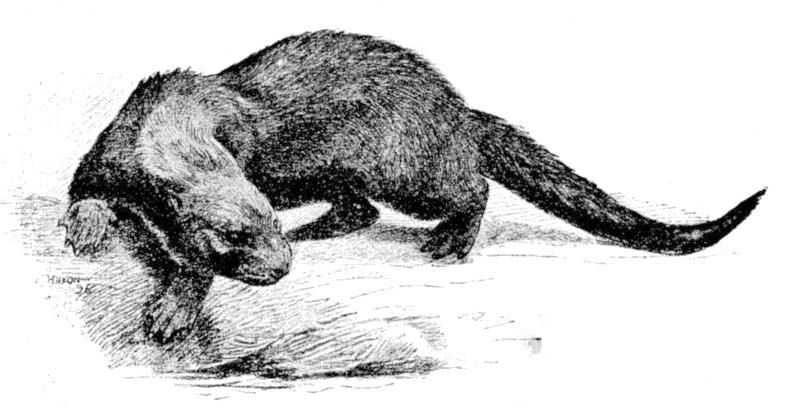 Fig. 223.