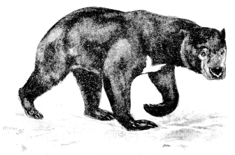 Fig. 225.