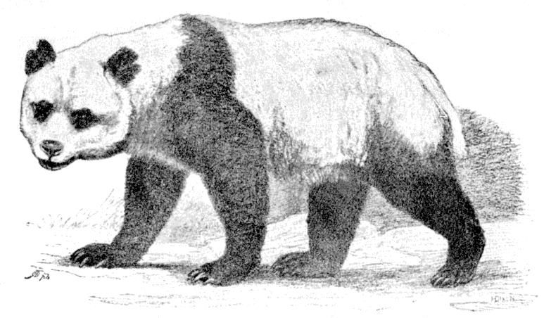 Fig. 226.