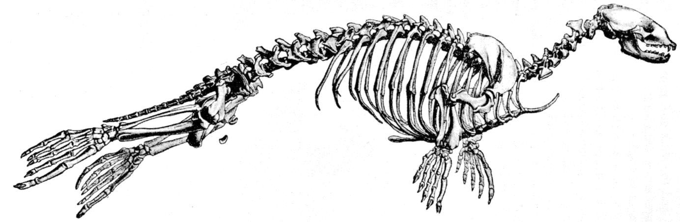 Fig. 227.