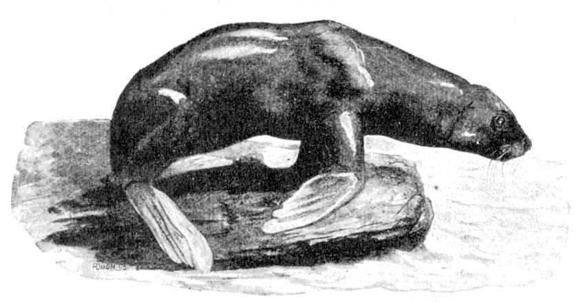 Fig. 228.