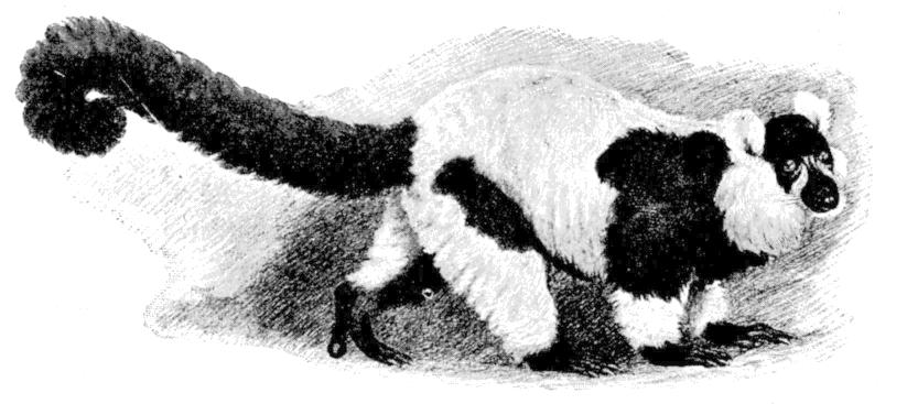 Fig. 259.