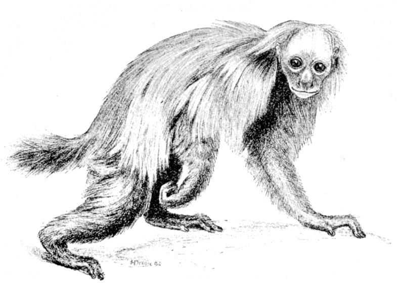 Fig. 266.
