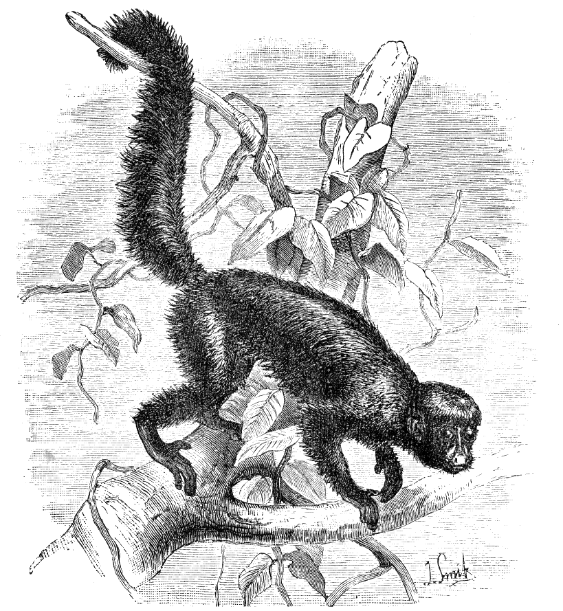 Fig. 267.