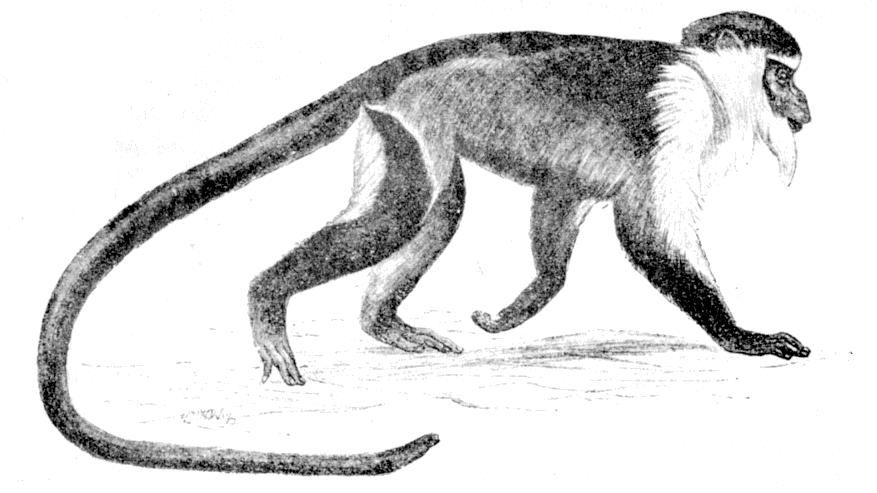 Fig. 269.