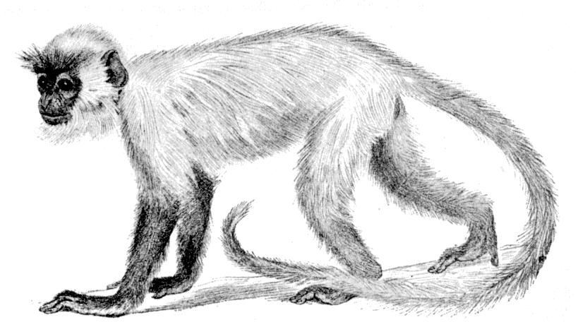 Fig. 271.