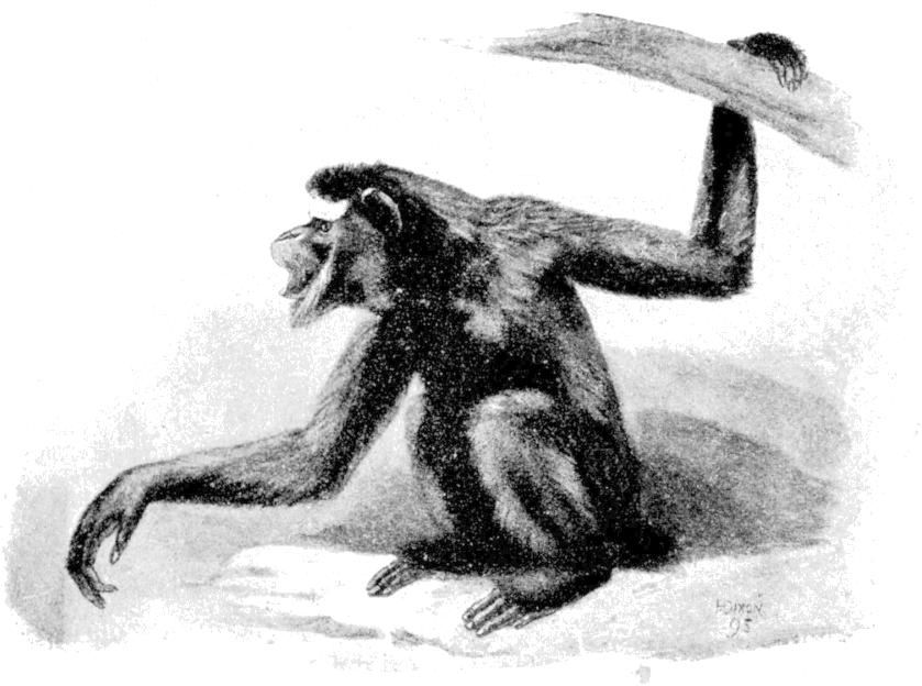 Fig. 272.