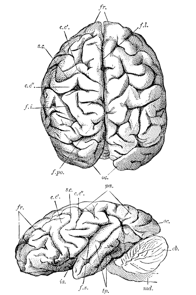 Fig. 275.