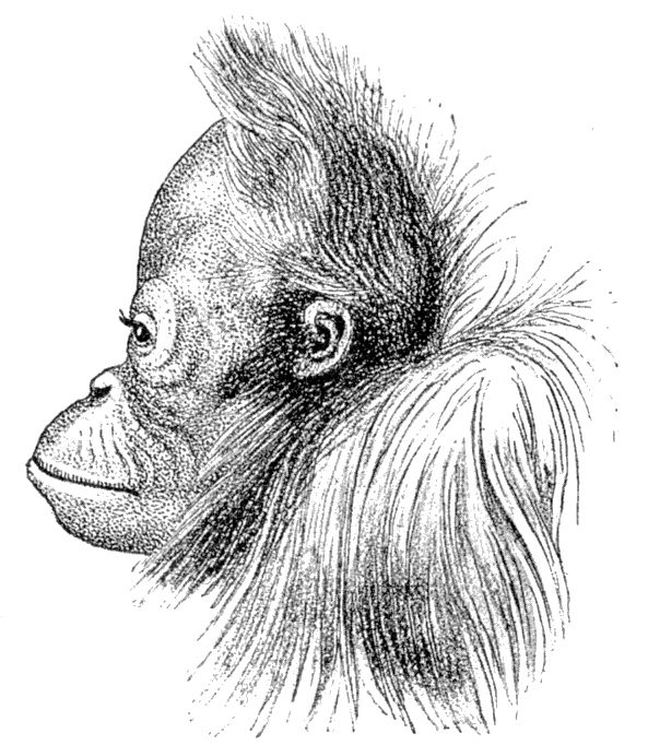 Fig. 277.