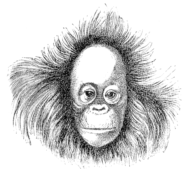 Fig. 278.