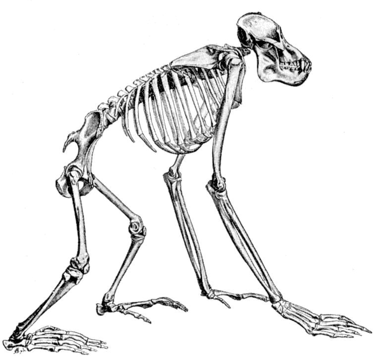 Fig. 279.