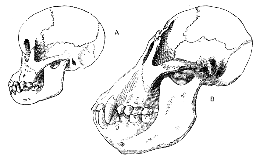 Fig. 280.