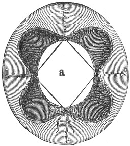 Figure 133