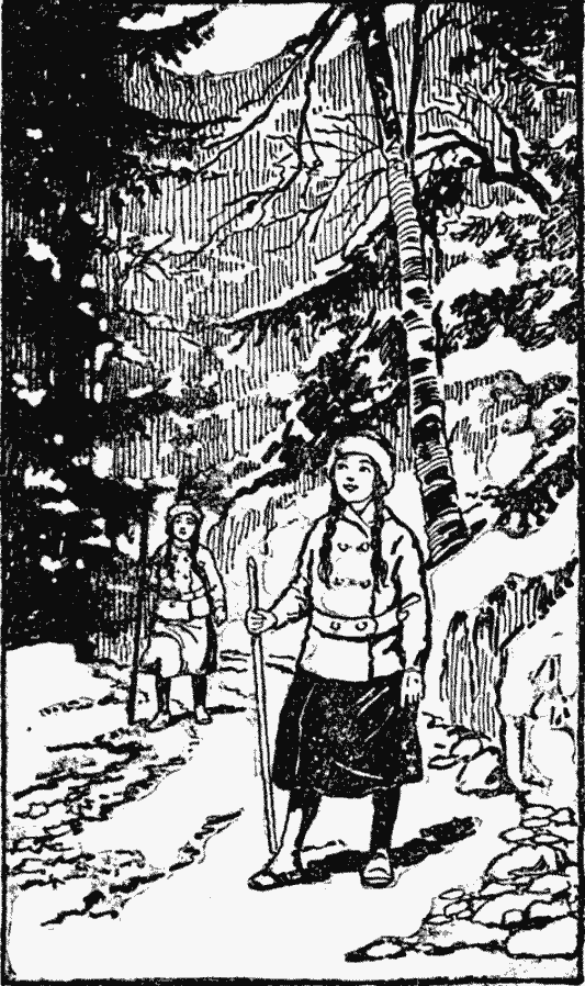 Campfire Girls in the Mountains Campfire Girls in the Mountains