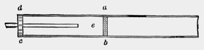 cross section of wonderful trumpet