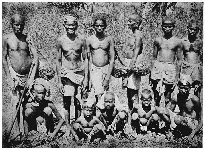 Nāyādis.