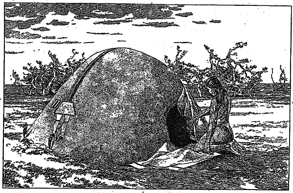 FIG. 118. Sweat house. Illustration: Figure 118
