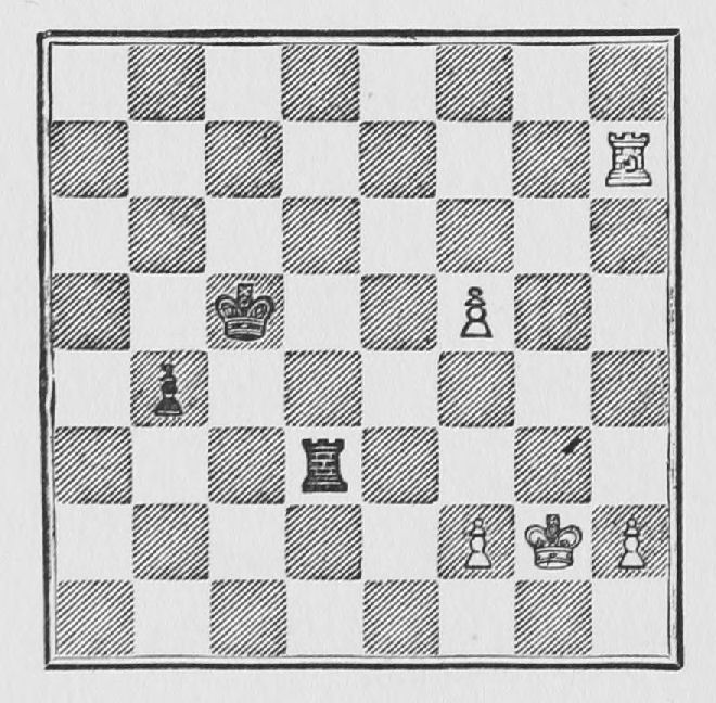 Chess position