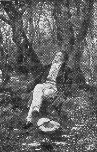 BEETHOVEN IN THE COUNTRY BEETHOVEN IN THE COUNTRY