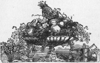 dish full of food
