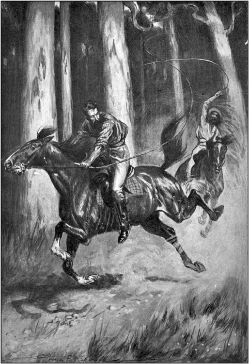 "THROUGH THE BUSH IT WENT, RACING LIKE MAD."