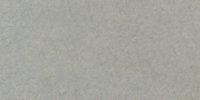 LIII_CG_(8)_Gull_Gray