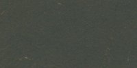 XLVI_13′′′′_m_Fuscous-Black