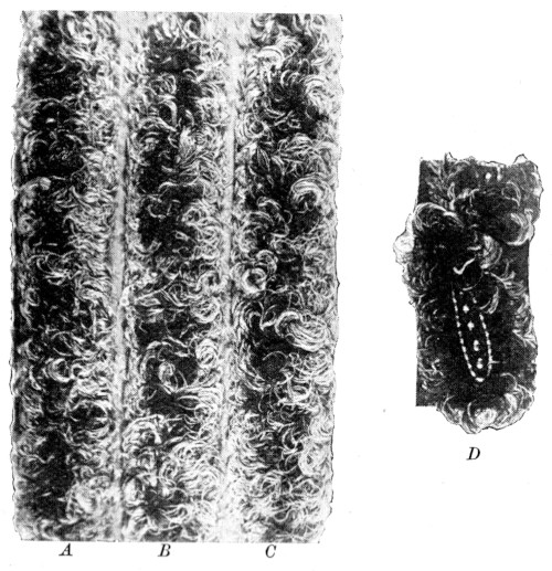 Feather trimming