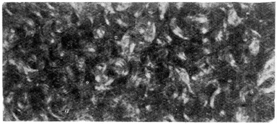 Culr in two colours