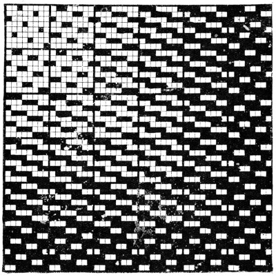 Shaded check reverse