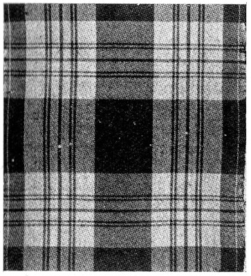 Montgomery modification