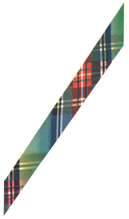 Bright colouring in plaids