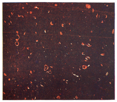 Twill Weave