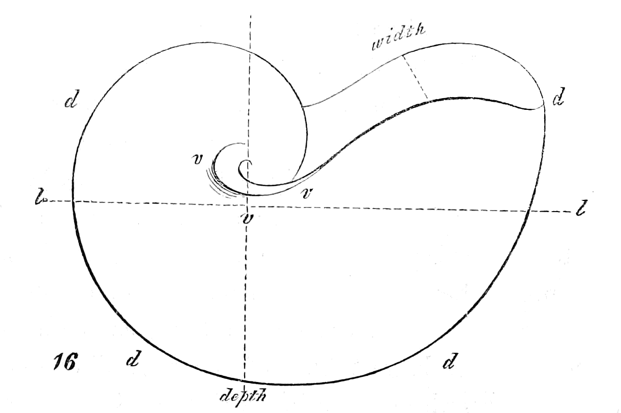 Fig. 16.