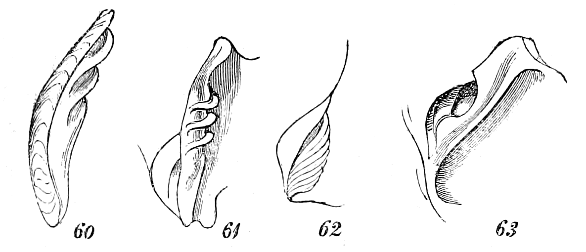 Figs. 60-63.