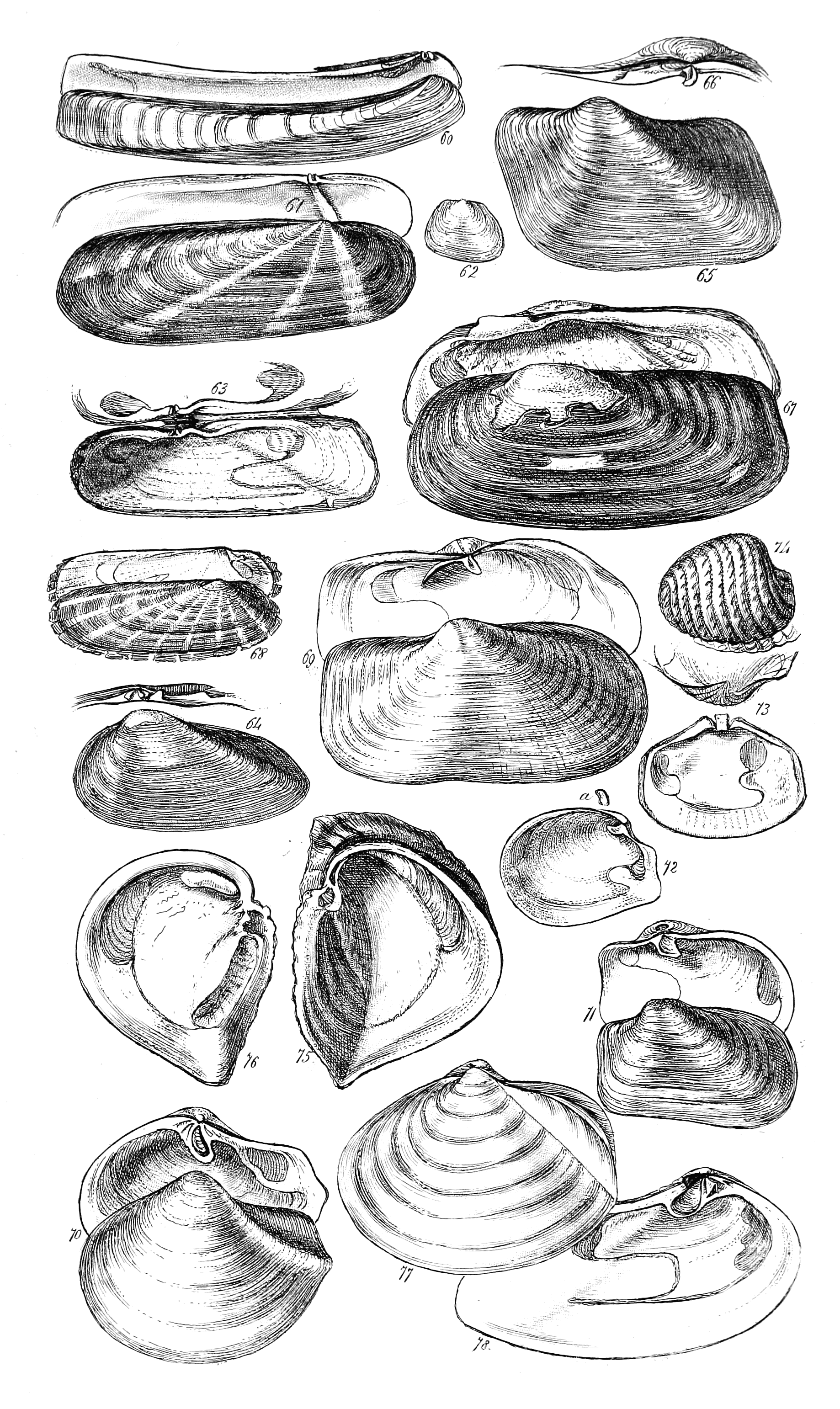 Fig. 60 to 78.