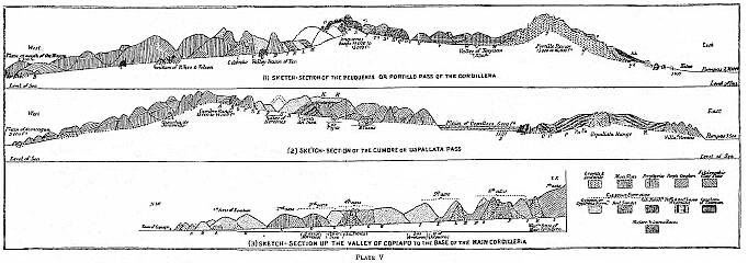 [Illustration: Geological sections through the Cordilleras.]