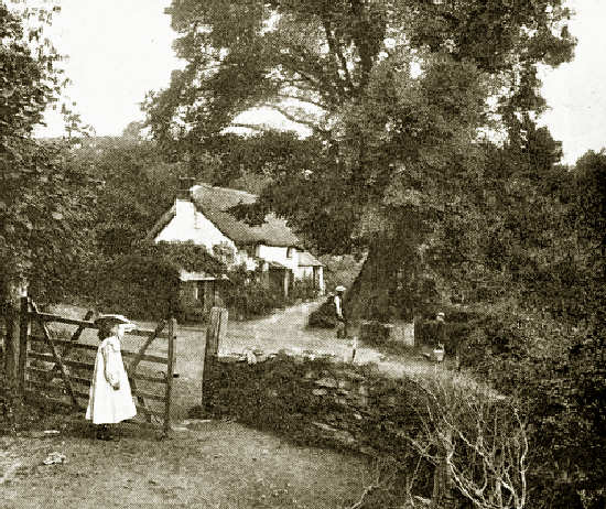 St Keyne's Well, Liskeard