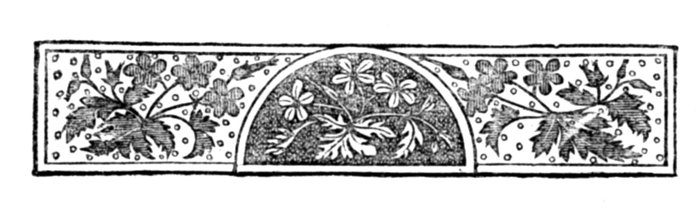 Illustration 5