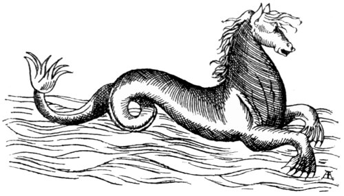 The Sea Horse