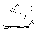 THE BEARING 'EASED' BY THINNING THE WEB OF THE SHOE.