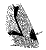 EXTERNAL SEEDY-TOE COMMENCING ON THE ANTERIOR FACE OF THE WALL.