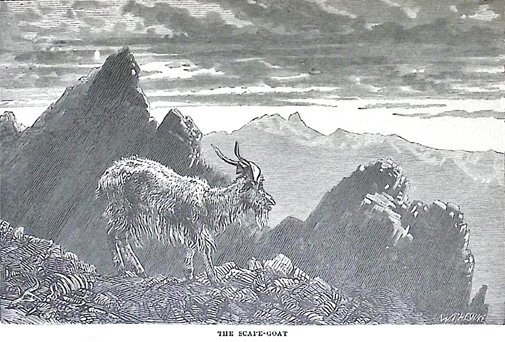 image019
