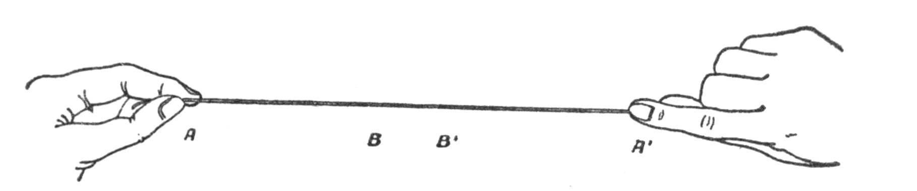 A string displayed in one dimension.