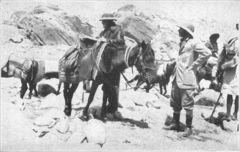 A group of men dressed in period exploration gear and horses in the mountains