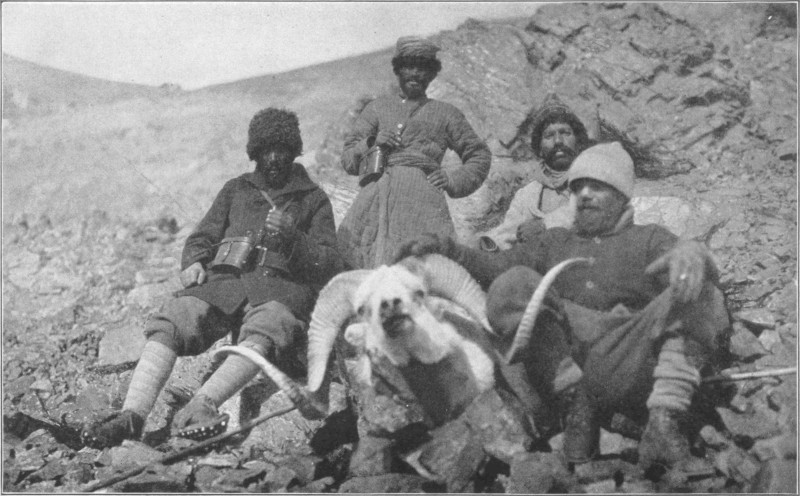 Several men stood and sat around a dead ovis poli.