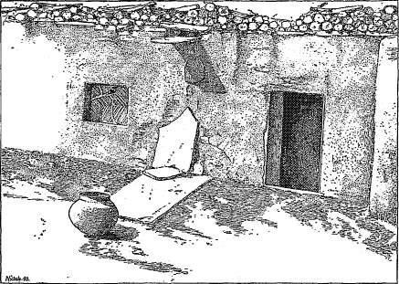 roof drain roof drain