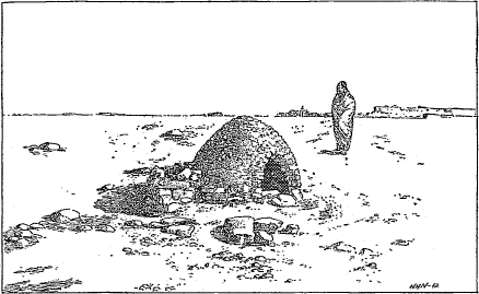 oven oven